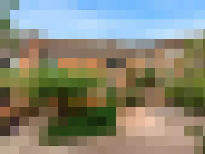 Gans 2 Zoeterwoude thumbnail 40