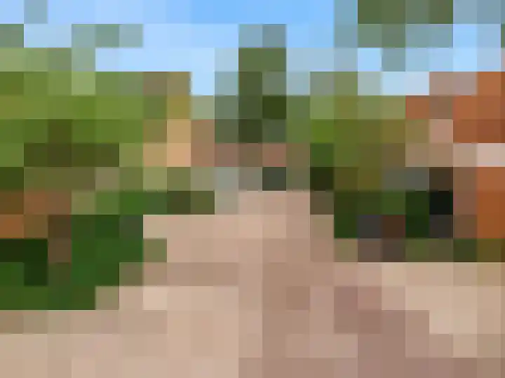 Gans 2 Zoeterwoude thumbnail 41