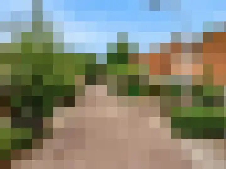 Gans 2 Zoeterwoude thumbnail 42