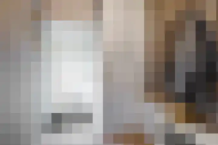 Gans 2 Zoeterwoude thumbnail 5
