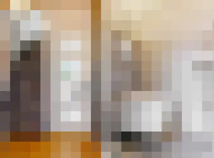 Gans 2 Zoeterwoude thumbnail 6
