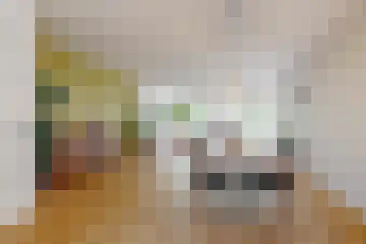 Gans 2 Zoeterwoude thumbnail 8