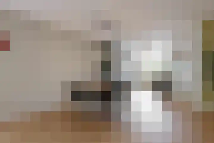 Gans 2 Zoeterwoude thumbnail 9