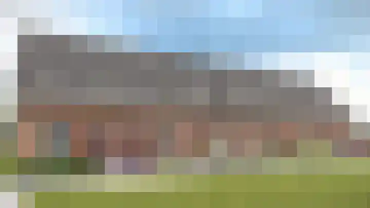Gans 20 Wijk en Aalburg thumbnail 5