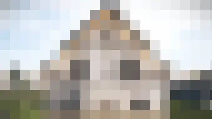 Gans 20 Wijk en Aalburg thumbnail 6