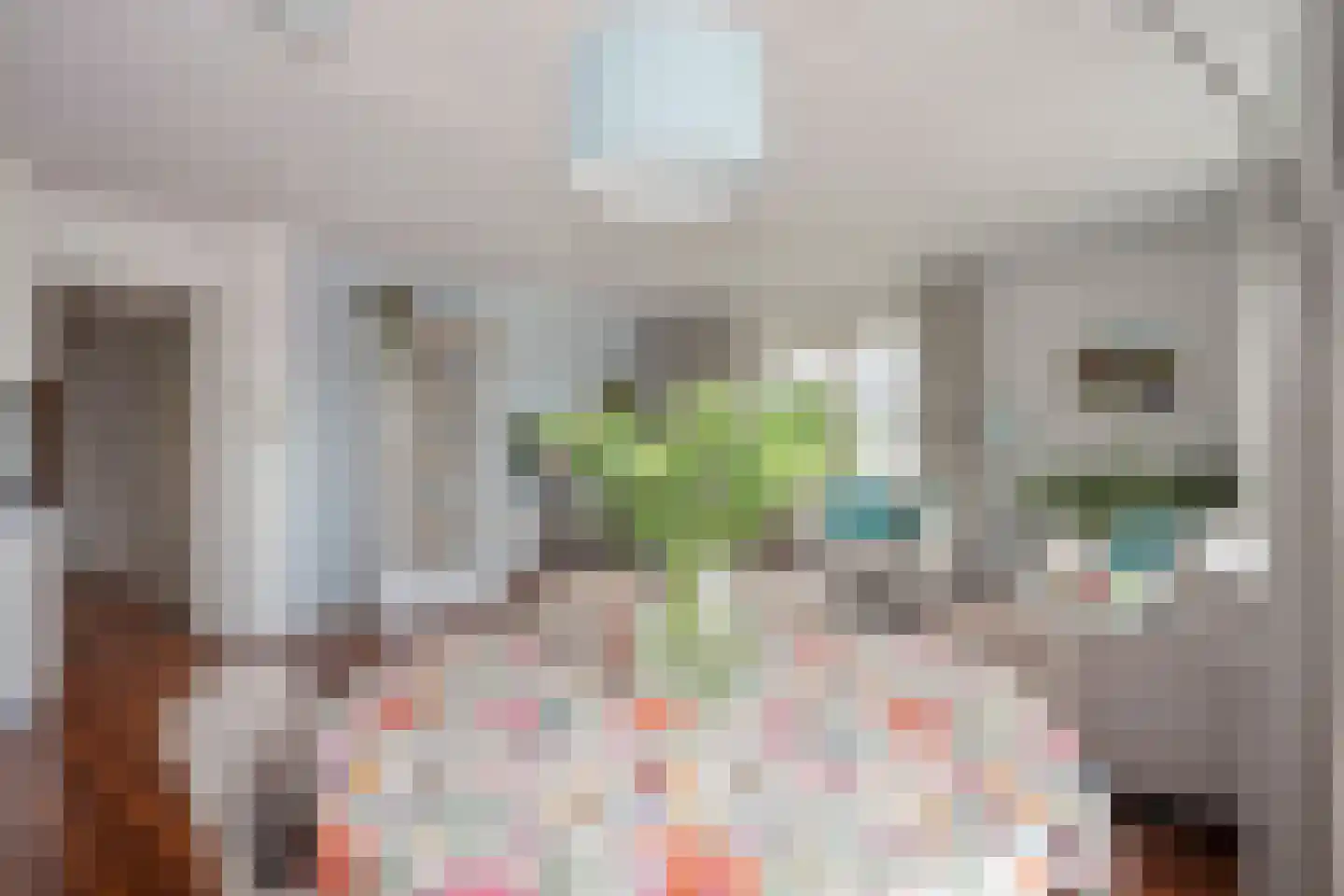 Gansbaan 15 m Meerssen thumbnail 12