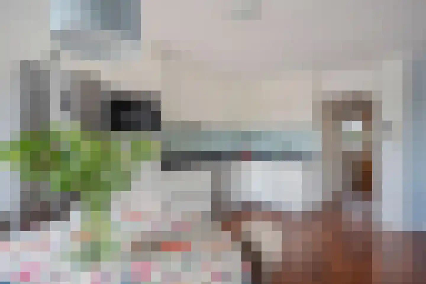 Gansbaan 15 m Meerssen thumbnail 8