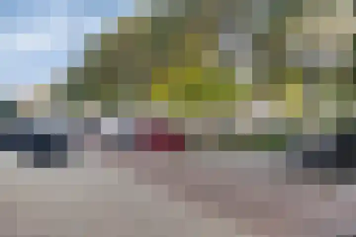 Gansdorppad 9 Rotterdam thumbnail 16