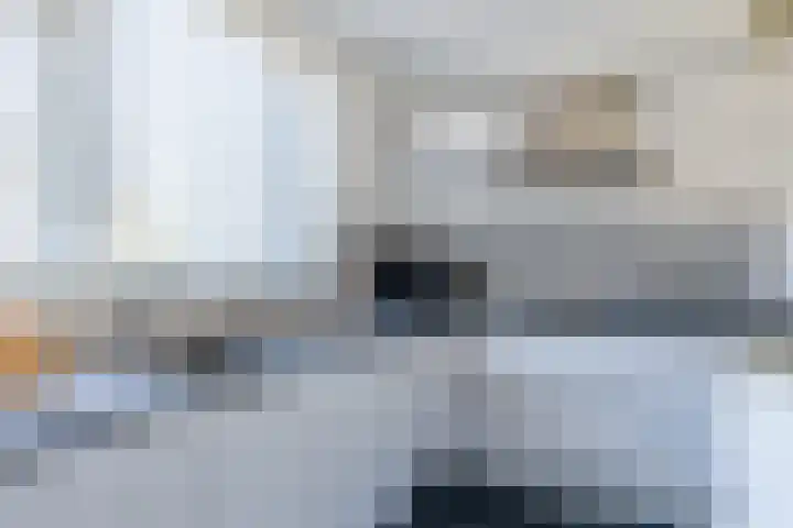 Ganseboom 30 Geldrop thumbnail 12