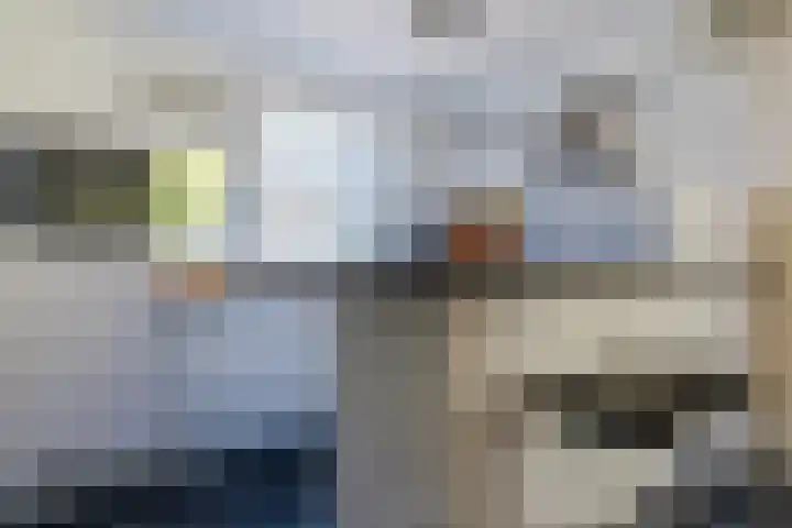 Ganseboom 30 Geldrop thumbnail 13