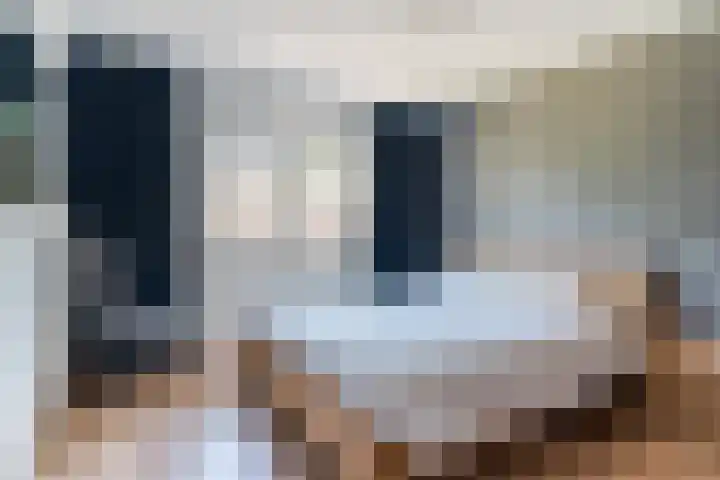 Ganseboom 30 Geldrop thumbnail 16