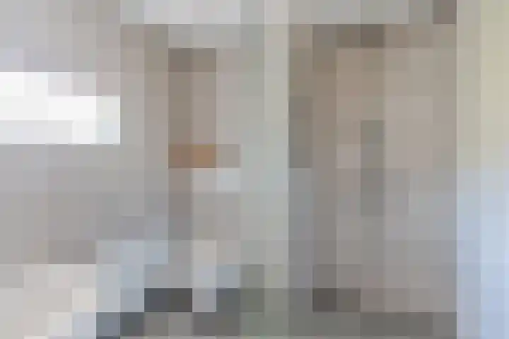 Ganseboom 30 Geldrop thumbnail 22