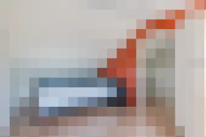 Ganseboom 30 Geldrop thumbnail 28