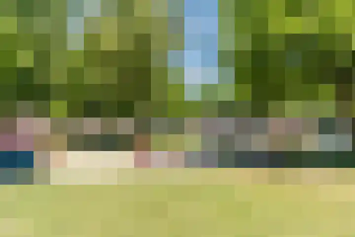 Ganseboom 30 Geldrop thumbnail 32