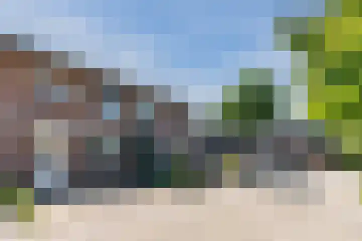 Ganseboom 30 Geldrop thumbnail 6