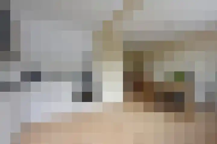 Gansfortstraat 47 Wijk bij Duurstede thumbnail 10