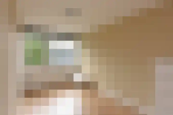 Gansfortstraat 47 Wijk bij Duurstede thumbnail 16