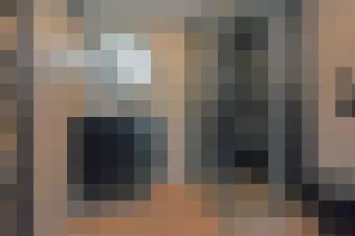 Gansfortstraat 47 Wijk bij Duurstede thumbnail 18