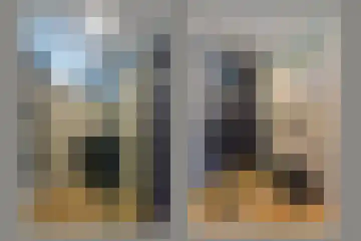 Gansfortstraat 47 Wijk bij Duurstede thumbnail 19
