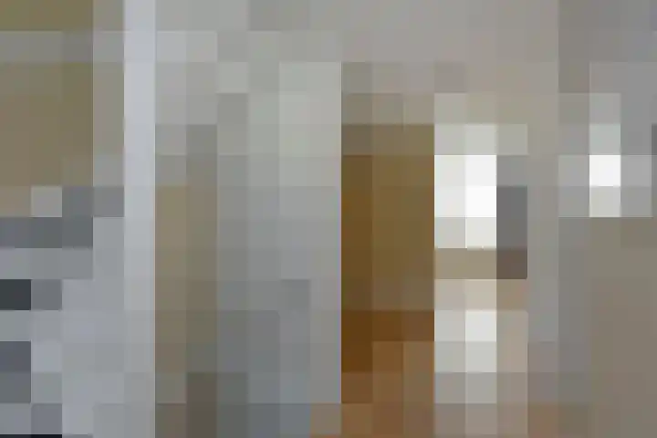 Gansfortstraat 47 Wijk bij Duurstede thumbnail 20