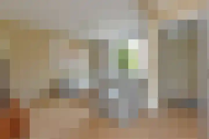 Gansfortstraat 47 Wijk bij Duurstede thumbnail 4