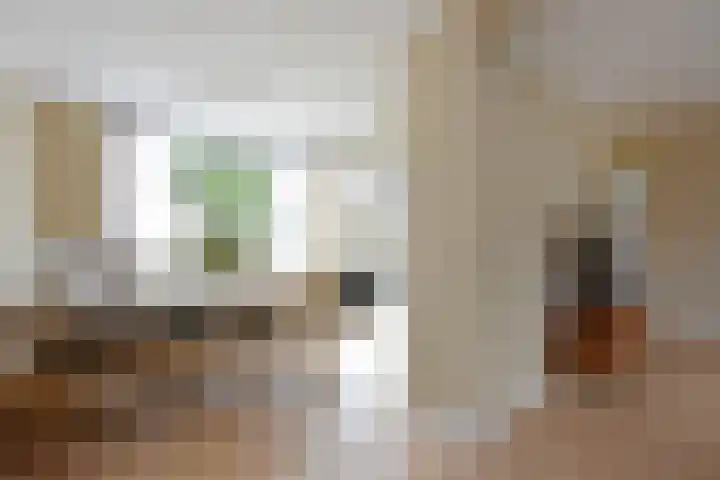 Gansfortstraat 47 Wijk bij Duurstede thumbnail 7