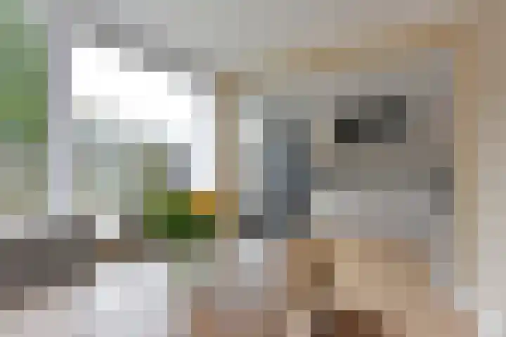 Gansfortstraat 47 Wijk bij Duurstede thumbnail 9