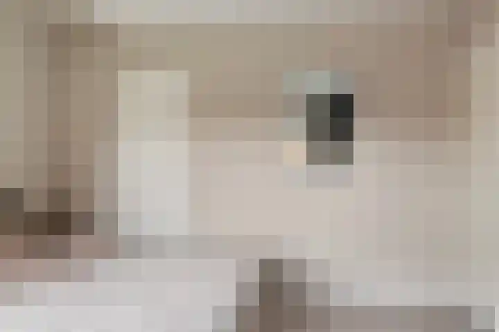 Ganskamer 32 Epe thumbnail 14