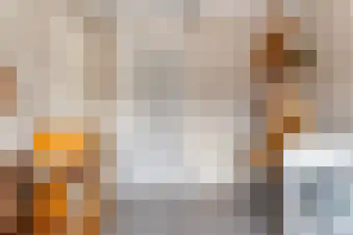 Ganskamer 32 Epe thumbnail 16