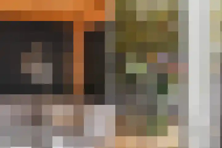 Ganskamer 32 Epe thumbnail 26