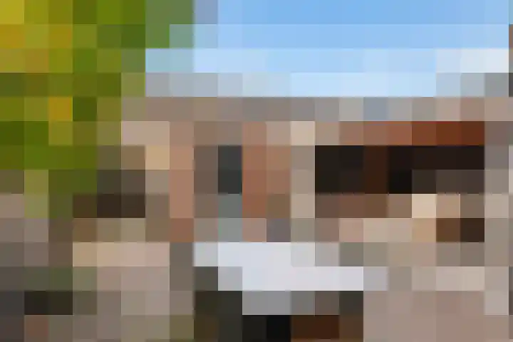 Ganskamer 32 Epe thumbnail 4