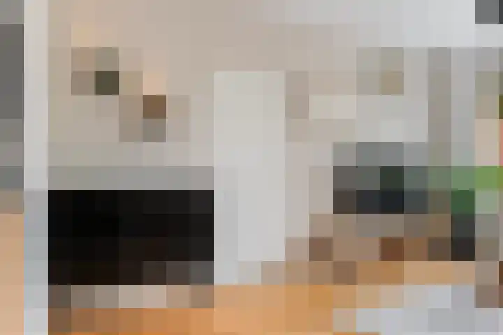 Ganskamer 32 Epe thumbnail 6