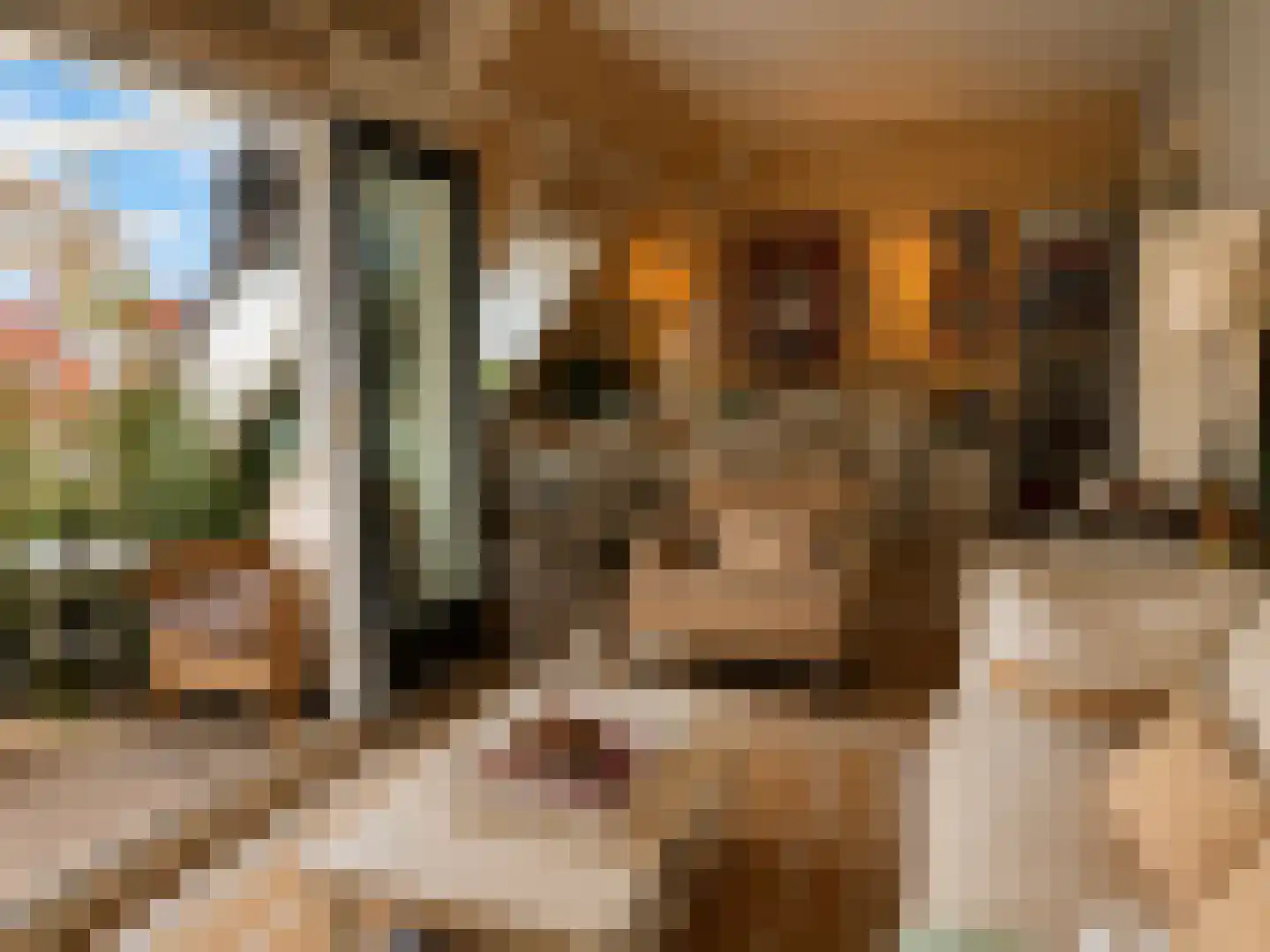 Gansoordstraat 37 B Naarden thumbnail 8