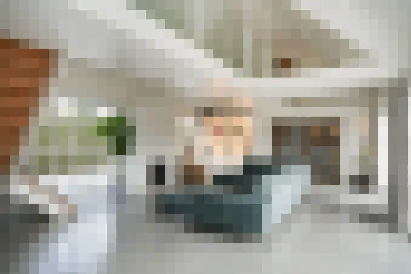 Gansoyen 39 Drongelen