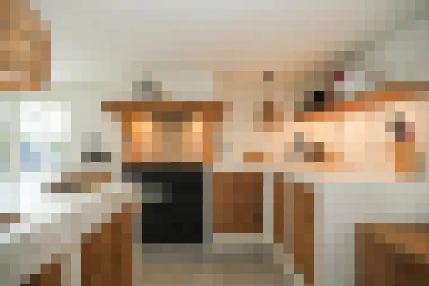 Gansoyen 39 Drongelen thumbnail 10