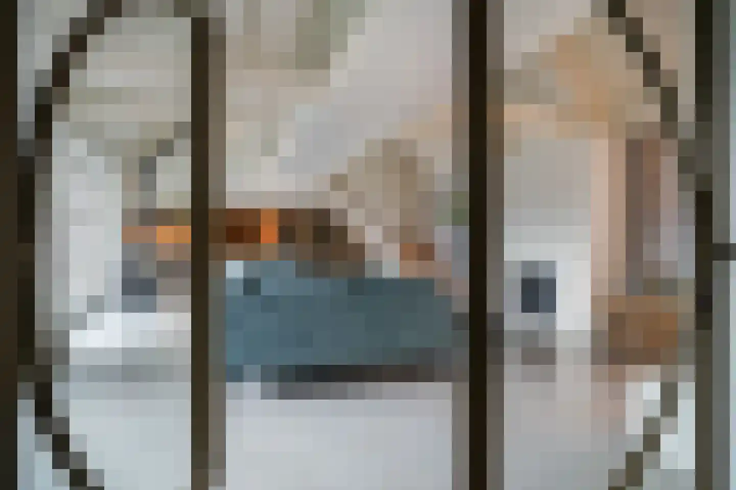 Gansoyen 39 Drongelen thumbnail 14