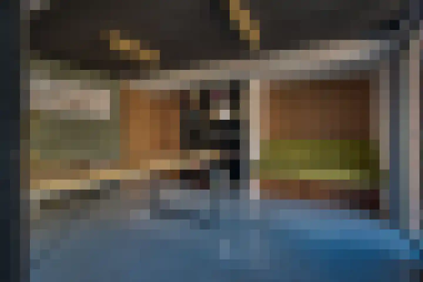 Gansoyen 39 Drongelen thumbnail 36