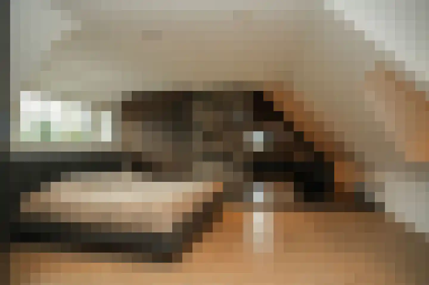 Gansoyen 39 Drongelen thumbnail 37
