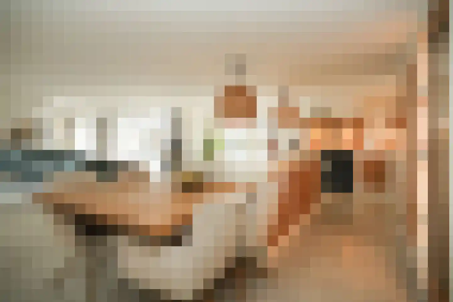 Gansoyen 39 Drongelen thumbnail 4