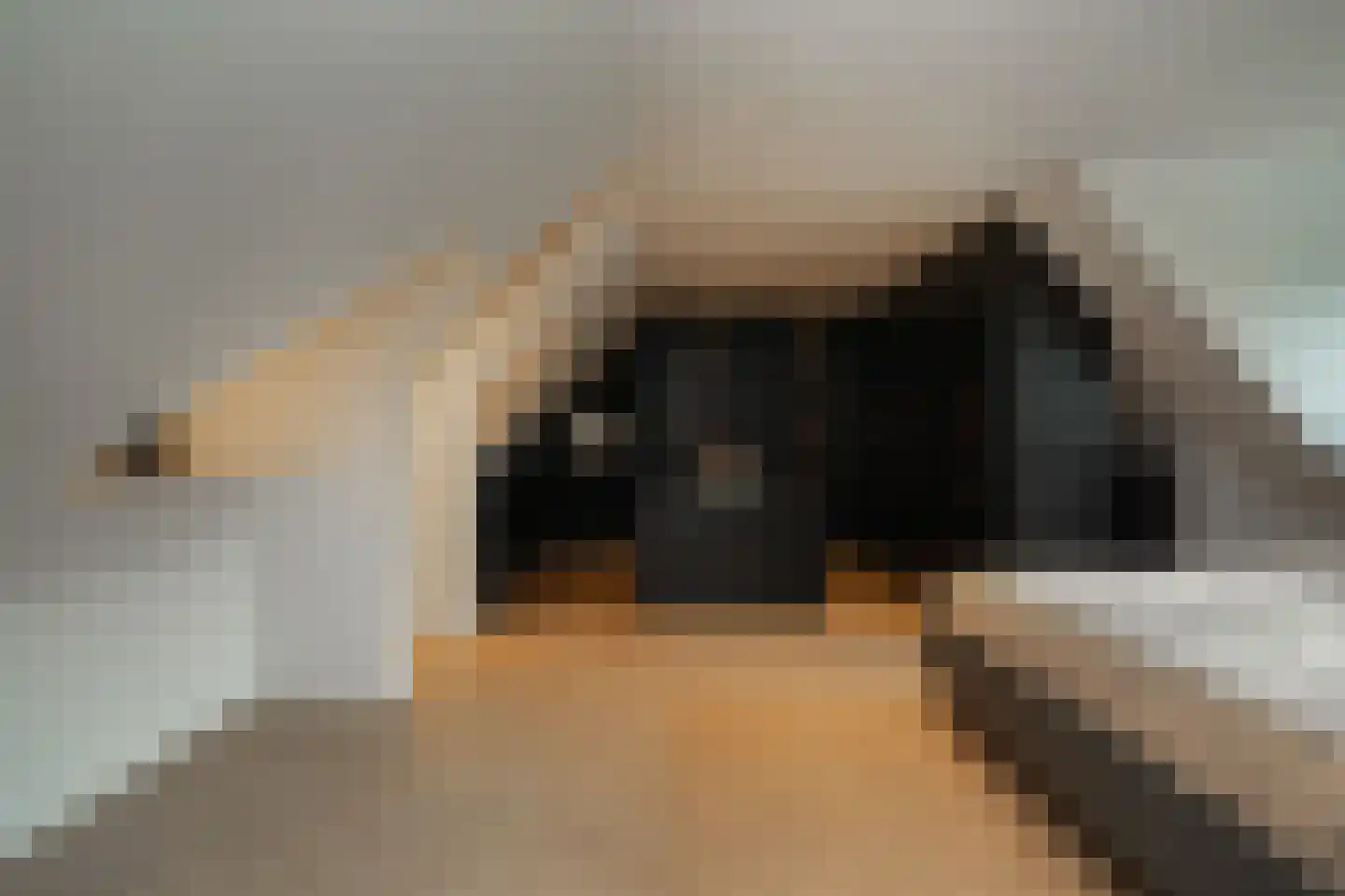 Gansoyen 39 Drongelen thumbnail 41