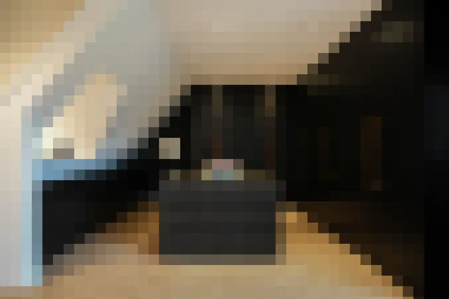 Gansoyen 39 Drongelen thumbnail 42