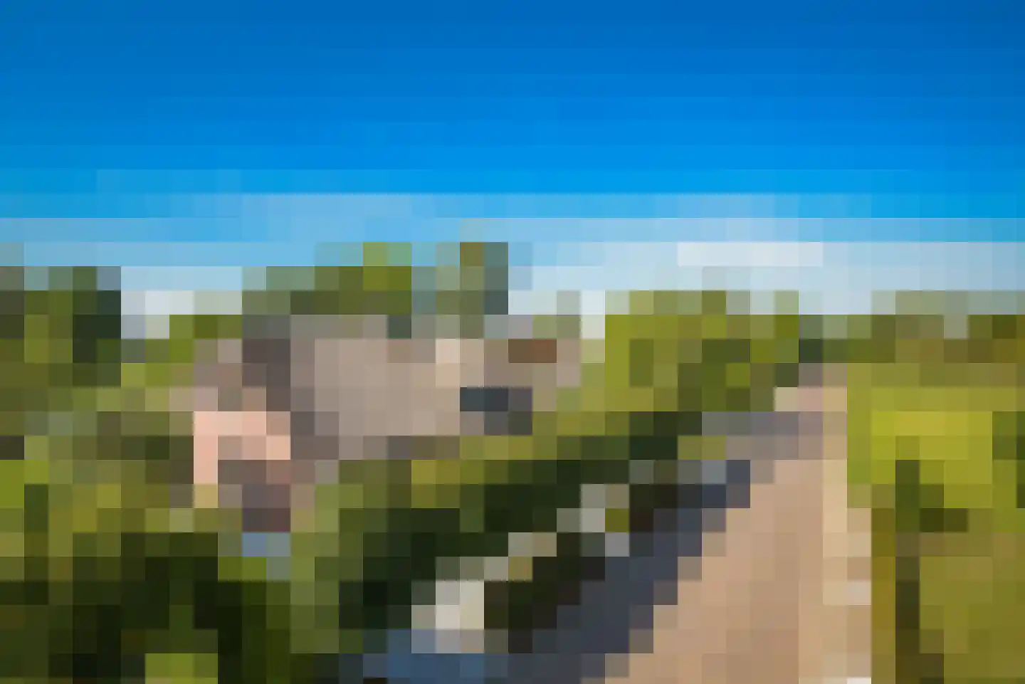 Gansoyen 39 Drongelen thumbnail 5