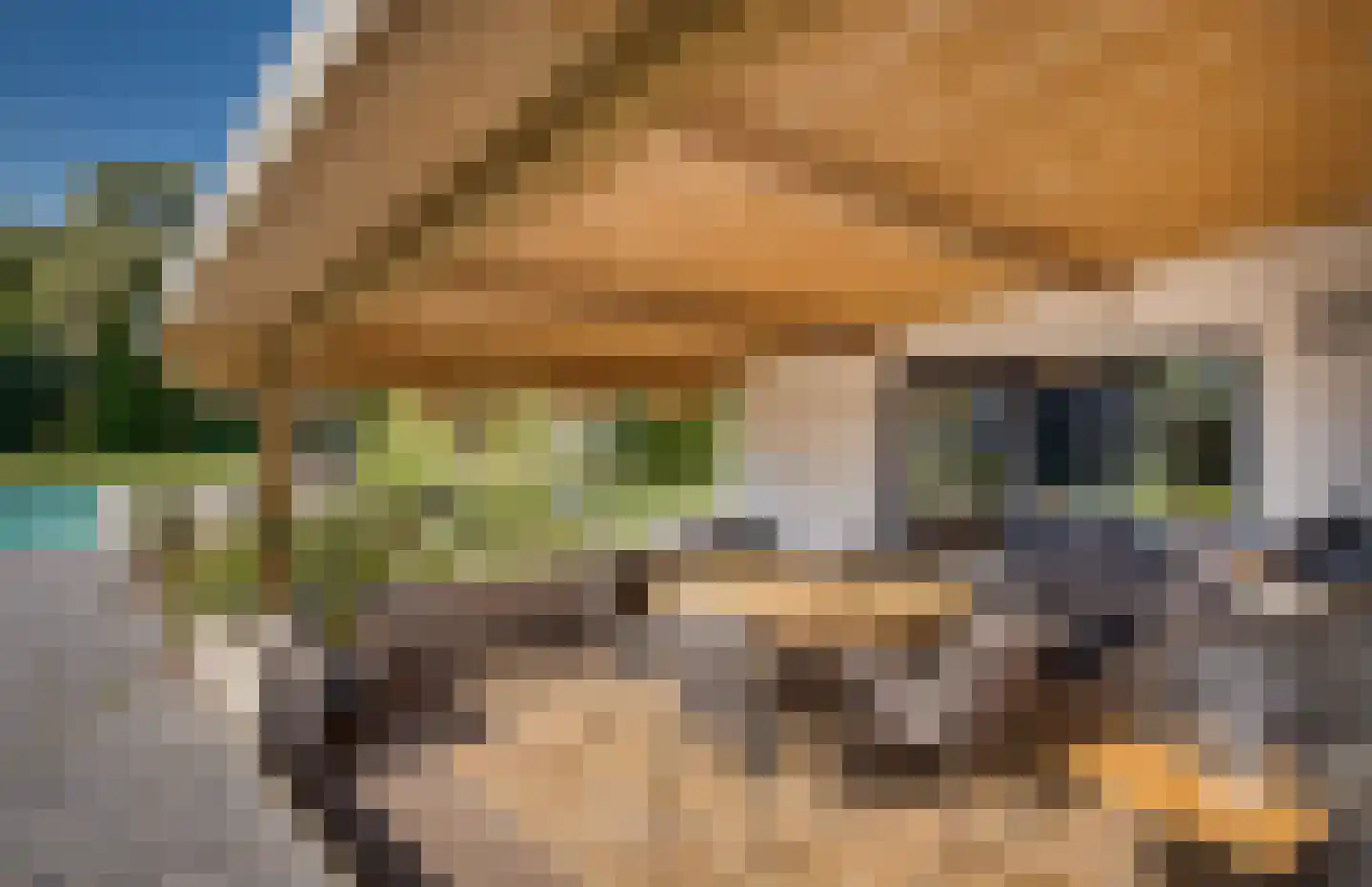 Gansoyen 39 Drongelen thumbnail 54