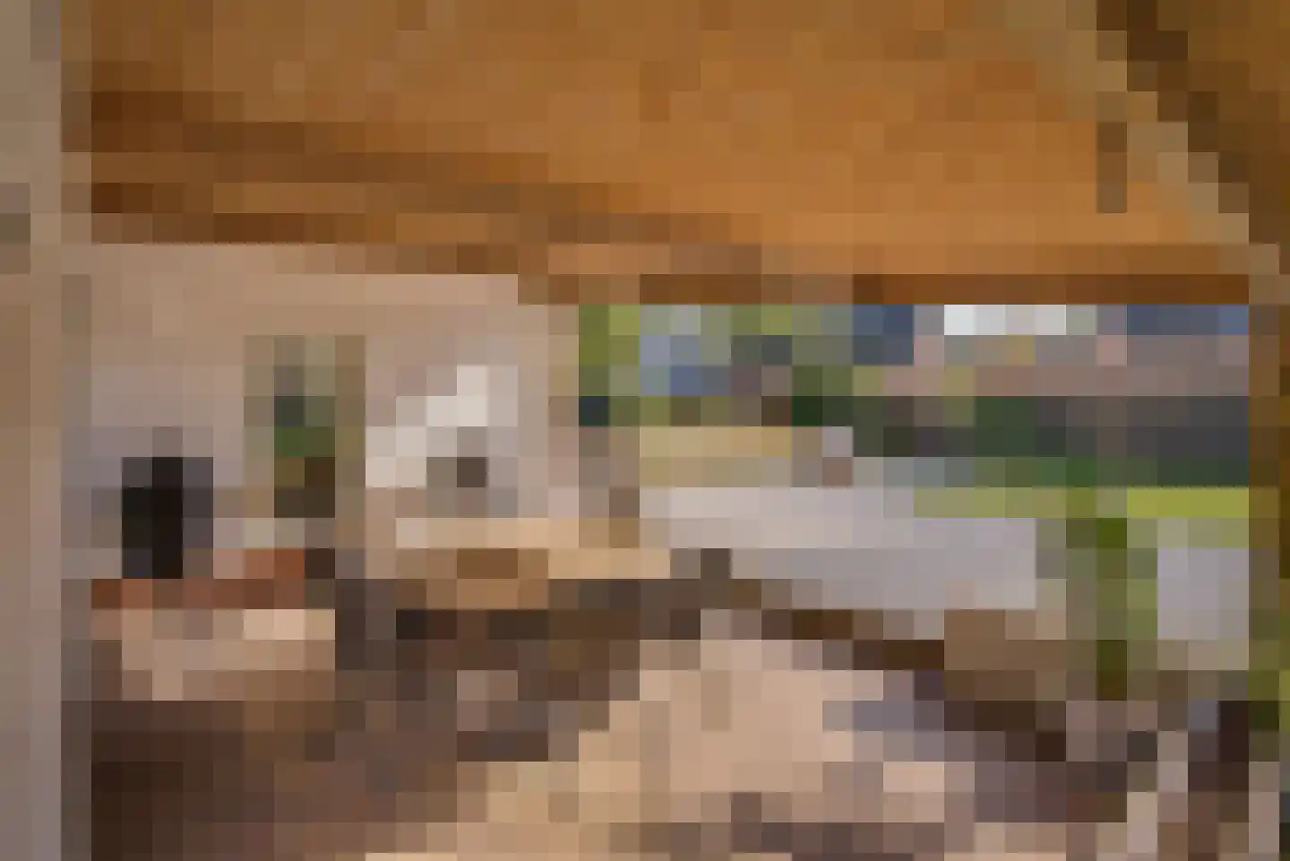 Gansoyen 39 Drongelen thumbnail 55