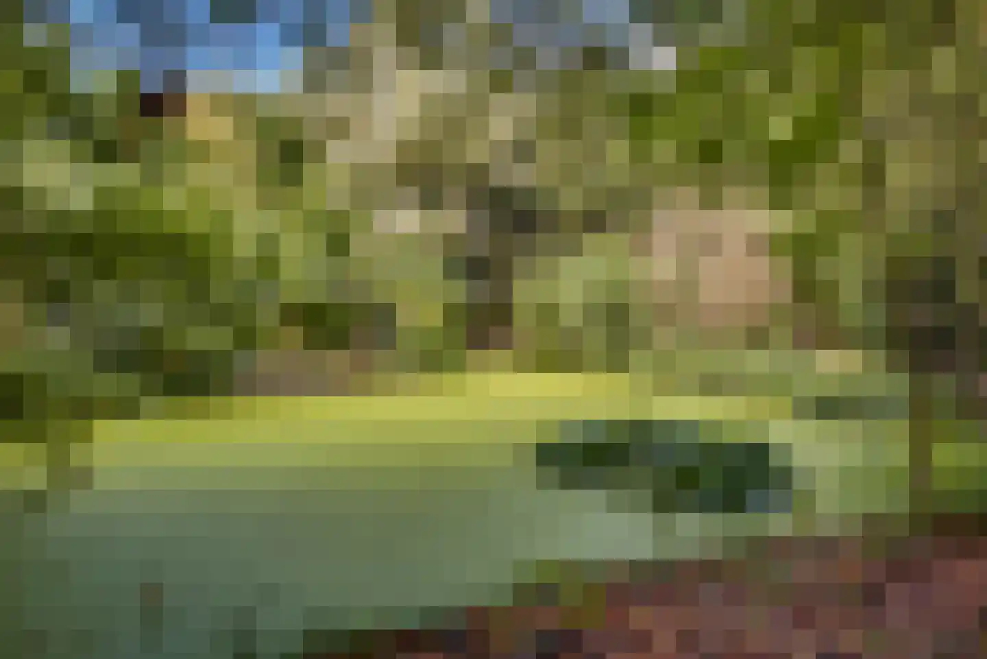 Gansoyen 39 Drongelen thumbnail 60