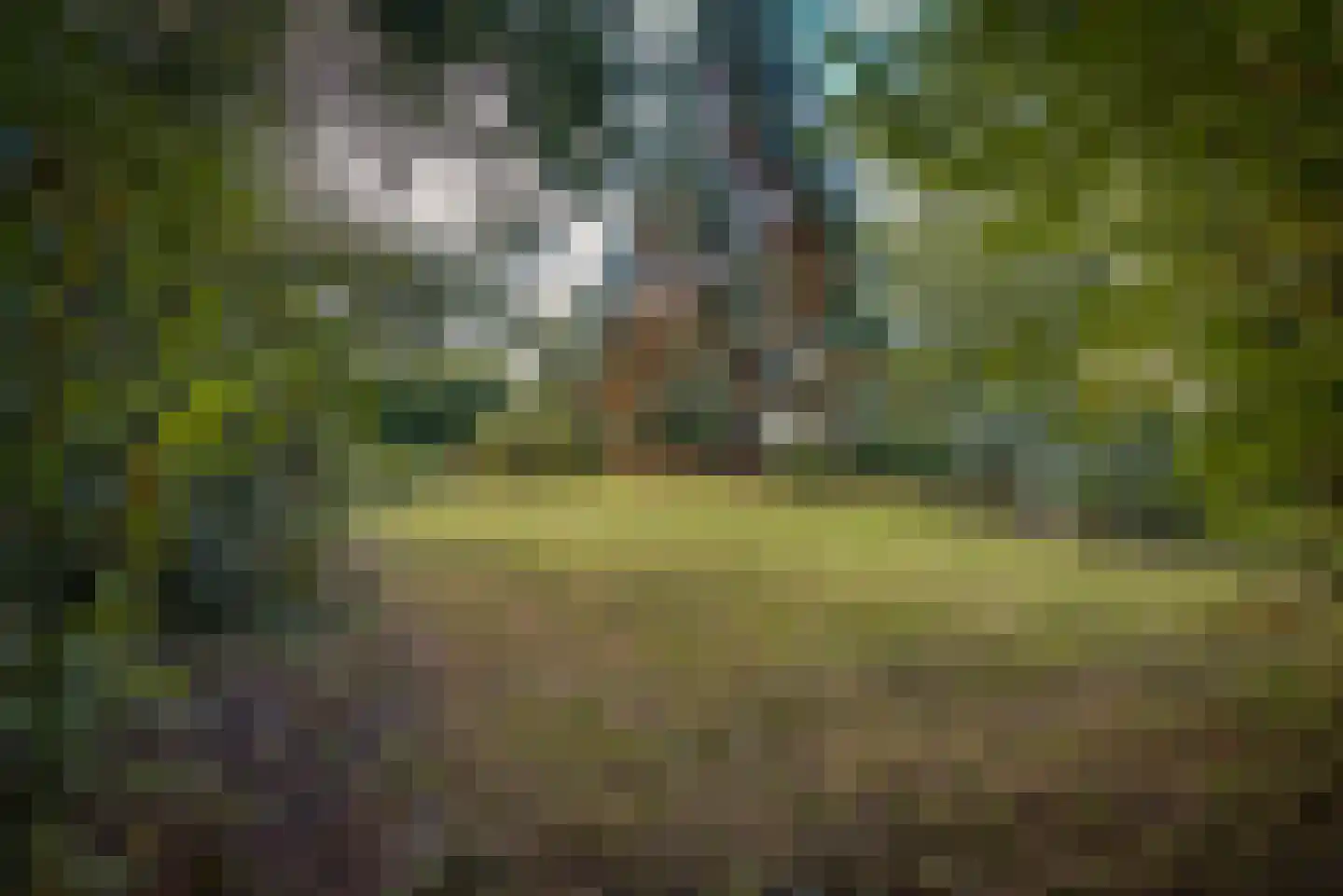 Gansoyen 39 Drongelen thumbnail 62