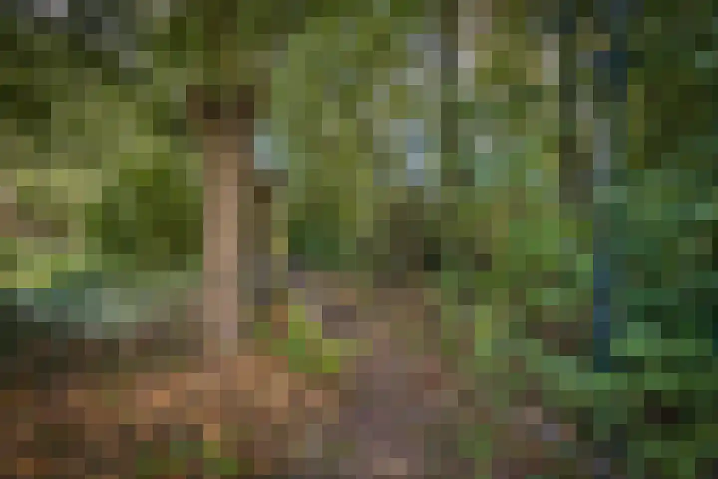 Gansoyen 39 Drongelen thumbnail 63