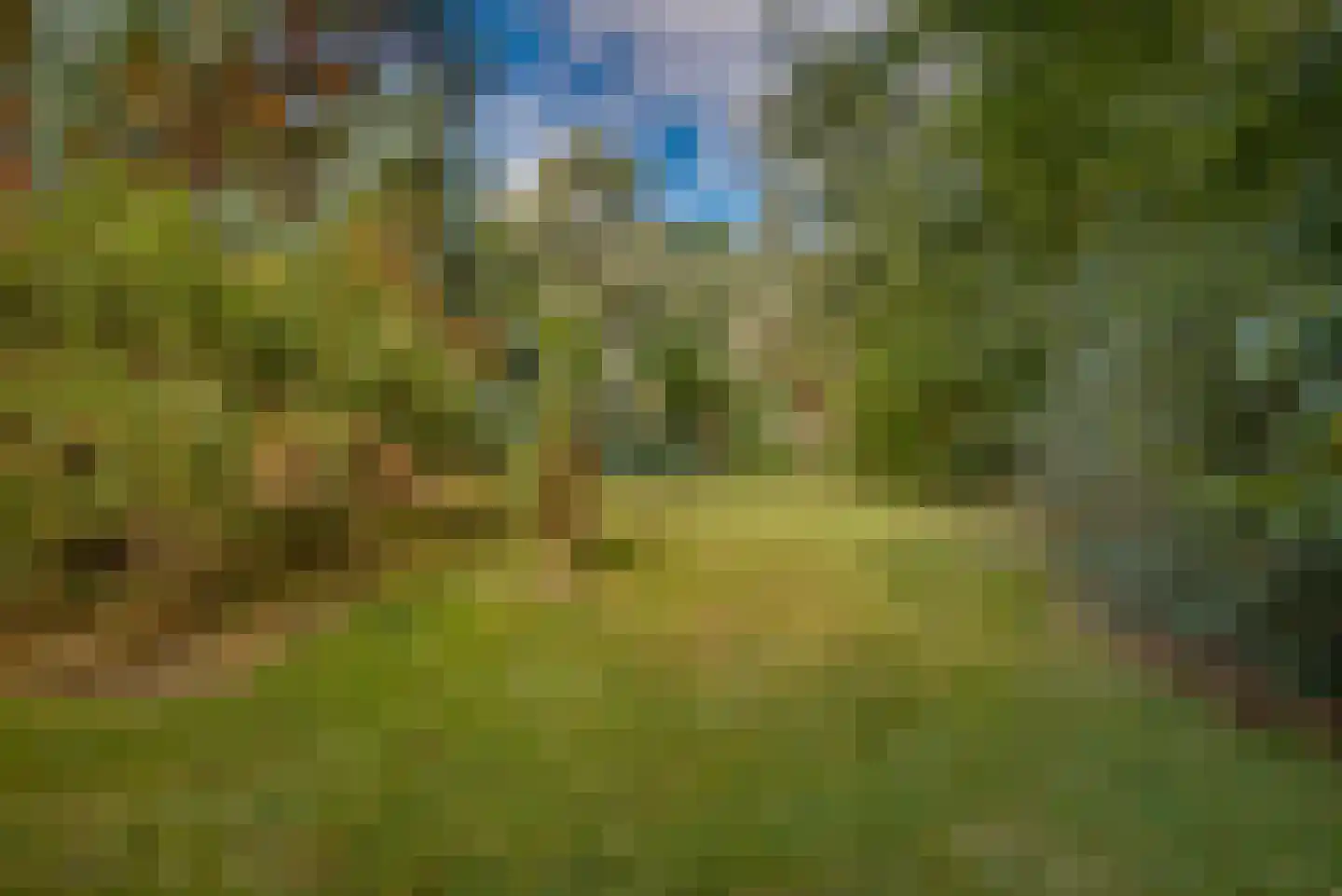 Gansoyen 39 Drongelen thumbnail 64