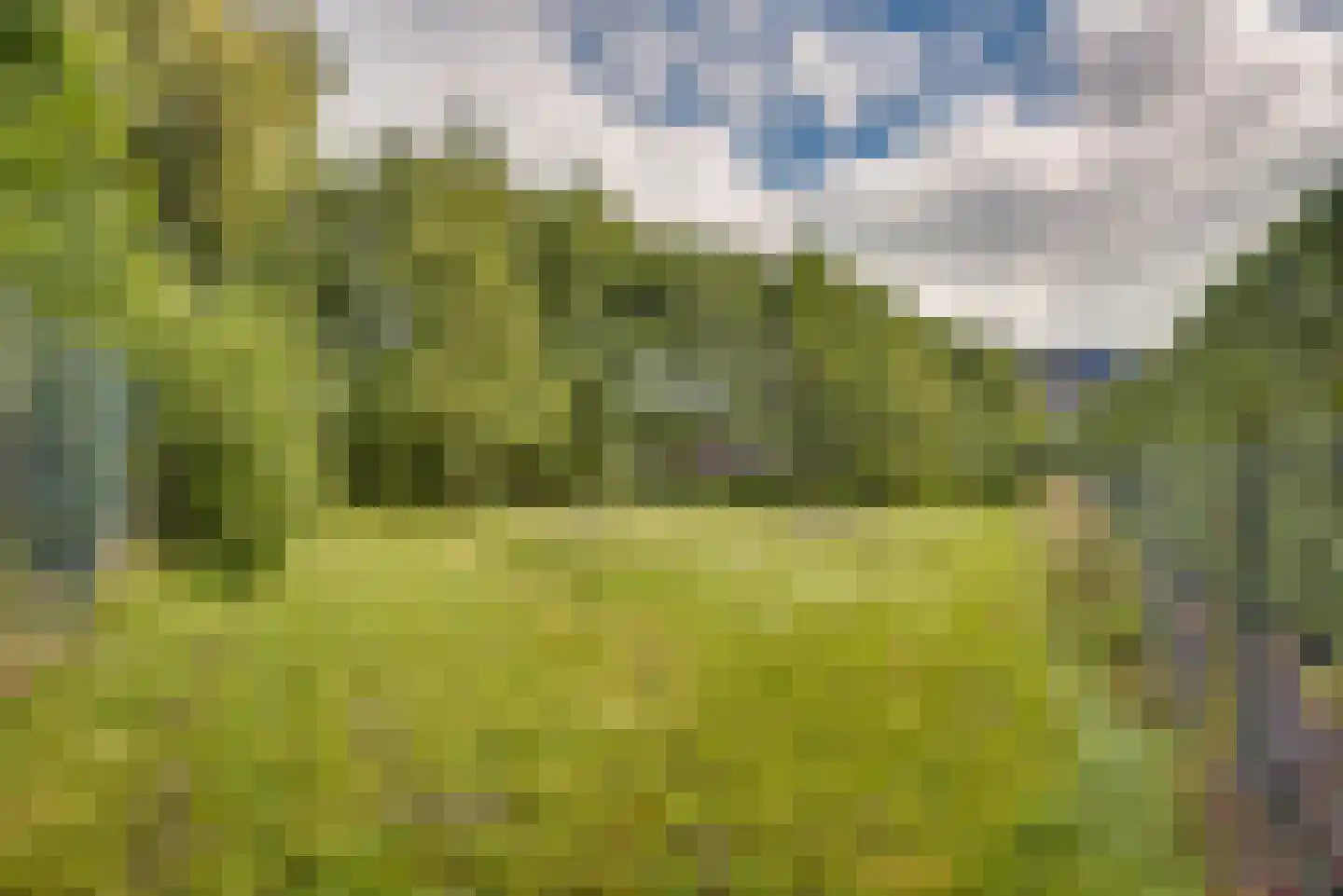 Gansoyen 39 Drongelen thumbnail 65