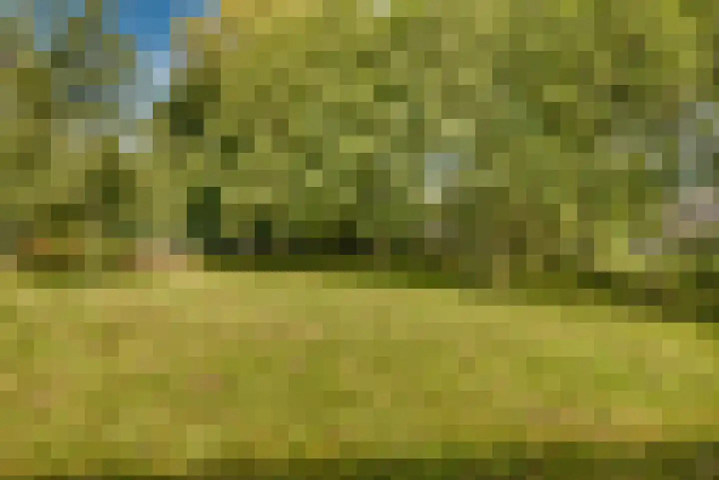 Gansoyen 39 Drongelen thumbnail 66